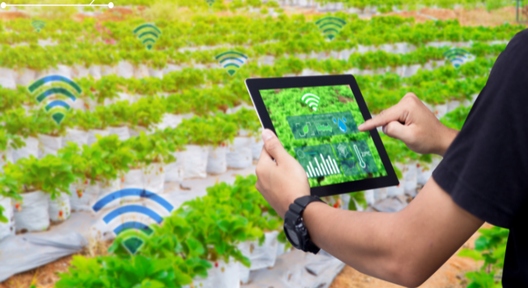 How RFID Technology Is Transforming Indian Agriculture